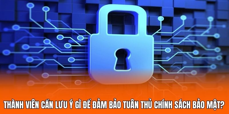 Thành viên cần lưu ý gì để đảm bảo tuân thủ chính sách bảo mật?